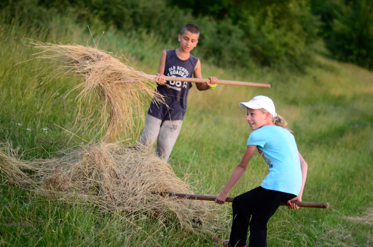فندق Ecopark ايلينا المظهر الخارجي الصورة