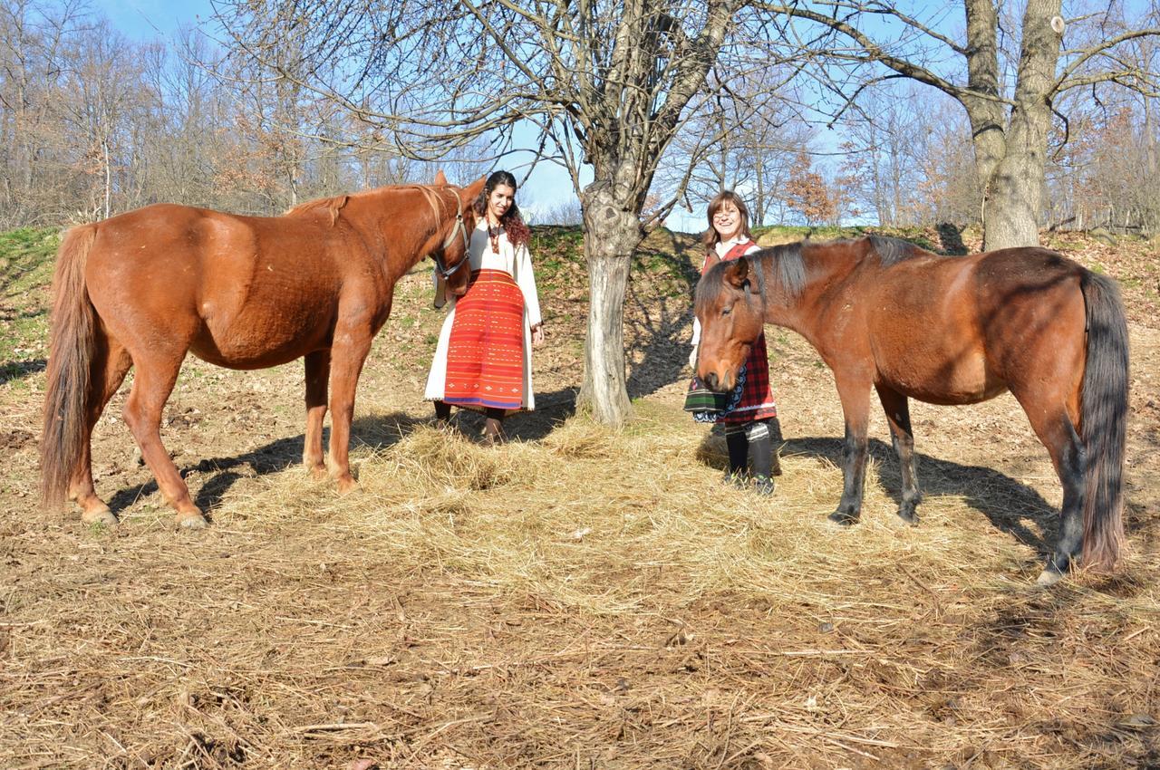 فندق Ecopark ايلينا المظهر الخارجي الصورة