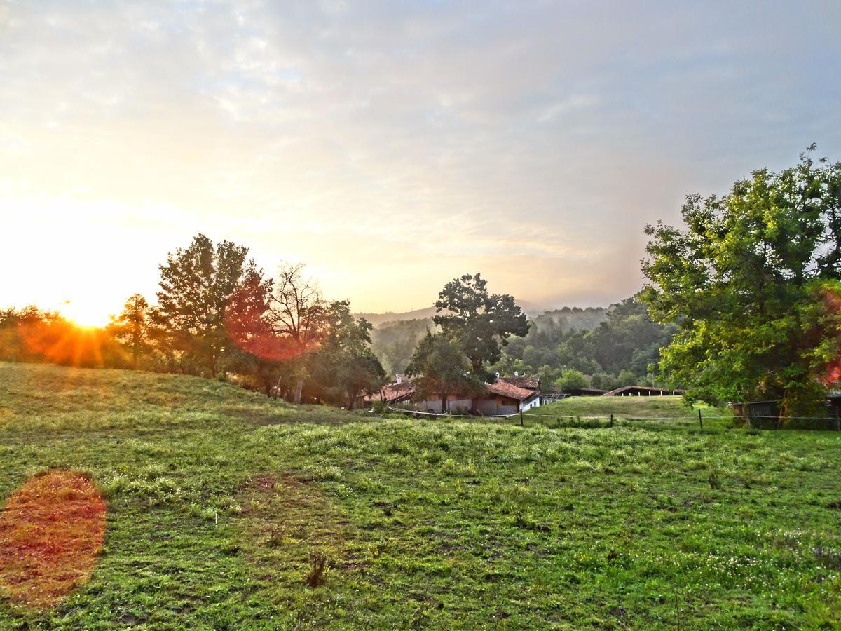 فندق Ecopark ايلينا المظهر الخارجي الصورة