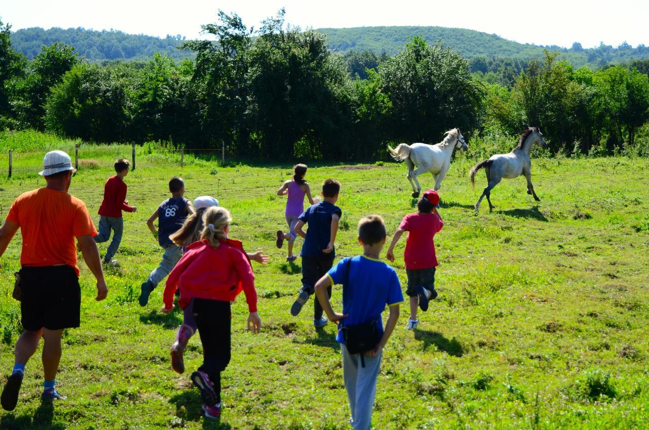 فندق Ecopark ايلينا المظهر الخارجي الصورة